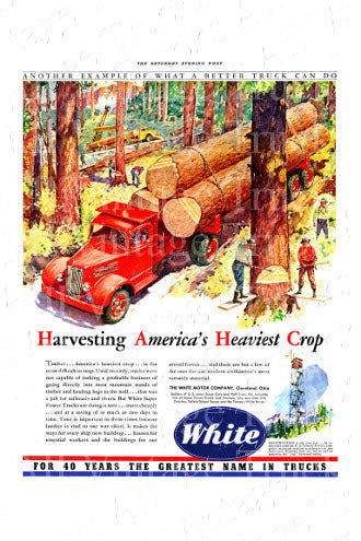 Vintage Poster - White Trucks - Logging Truck